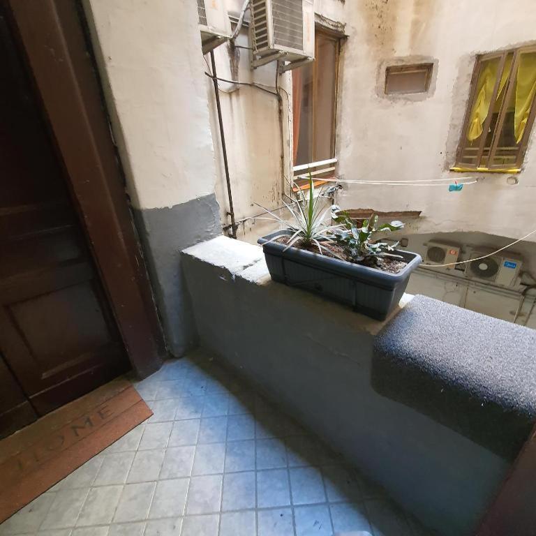 Napolix Centro, Intero Appartamentino, Casa Vacanze, Suite Tricamere Nel Cuore Di Napoli Extérieur photo